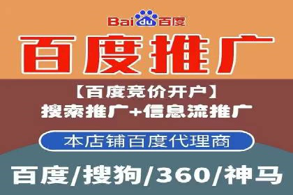 百度优化推广案例剖析：某电商平台的成功之路